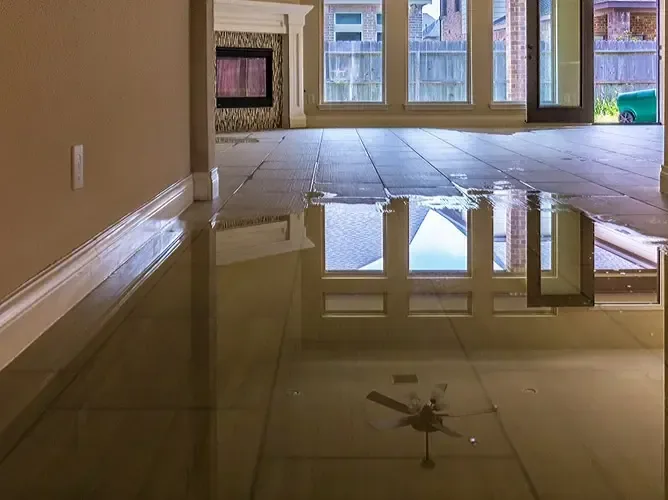 Standing water reflects tall windows across the floor of an empty residential room.