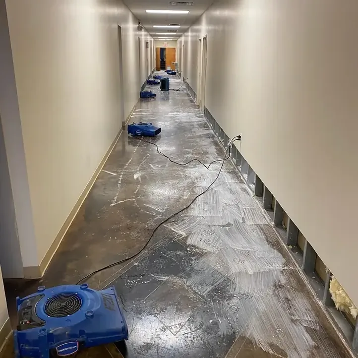 Blue air movers occupy a hallway with covered flooring and opened lower walls.