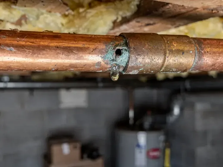 A corroded copper supply pipe drips beneath the surrounding floor structure